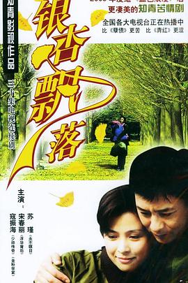 柏林苍穹下 封面图